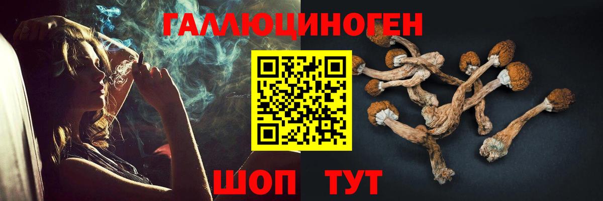 Галлюциногенные грибы GOLDEN TEACHER  Галлюциногенные грибы Psilocybe  Калининград  Вход с VPN 